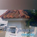 태안수영장가족펜션가장자리