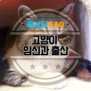 길음동물병원 이미지