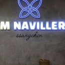 짐나빌레라 이미지