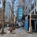 본라인한의원 시청역점 | 발목 접질렸을 때 서울시청한의원 저녁으로 크레이지후라이 통오징어 즉석 떡볶이