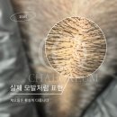 채오름SMP 이미지