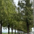 죽동마을회관앞 이미지