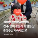 달건너농장 | 청주 솔비네딸기체험농장 | 17개월 아기랑 딸기체험(feat. 청주딸기축제 정보공유)