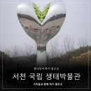 삼가장터3.1광장도서관 | 서천 국립생태박물관 봄나들이하기 좋은 곳