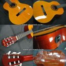 클래식기타 (D) 이미지