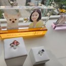 펫포레스트 반려동물장례식장 남양주점 이미지