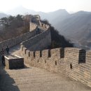 창청여행사