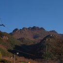 순천만의 추억 이미지