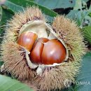 풀문펜션 이미지