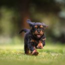 리위드미 이미지