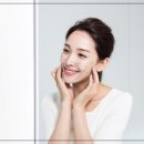 벡터웰