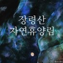 GS25 옥천문화점 | 옥천 장령산 자연 휴양림 - 산책로, 숲속 동굴, 아이와 가볼만한 곳 방문 후기 추천