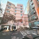 강남-192 이미지