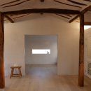 스테이 띠앗 이미지