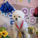 양덕동275 이미지