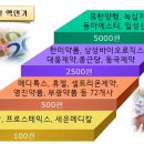 황제바이오