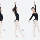 발레&스트레칭 네이버블로그