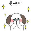 벨라루시애견미용학원