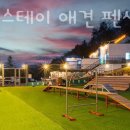 도그앤스테이 이미지