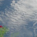 바람과 구름 이미지