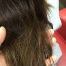 헤어까꼬뽀꼬 이미지