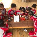 화동초교병설유치원 이미지