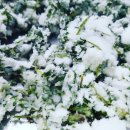 경산(서울) 이미지