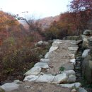 갤러리광고 이미지