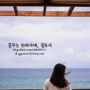 바다정원 이미지