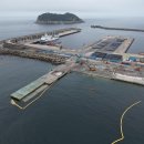 제주연안 연산호 군락지 이미지