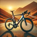 인기 로드자전거 브랜드 총정리 이미지