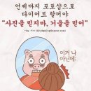 24핏앤점핑다이어트 네이버블로그