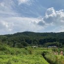 금마면 인흥마을회관 이미지