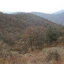 산속농원 이미지