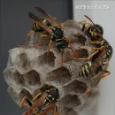 광양칠성노인요양원 이미지