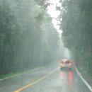 스마트폰 사진찍기 이미지