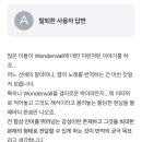 대장의 wonderwall 이미지