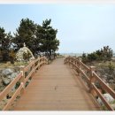 망상컨벤션센터 이미지