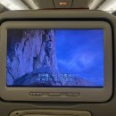 리틀짐 태권스쿨 | [하와이 여행①] 알로하~ 떠나요~