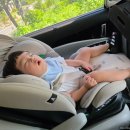 감천계곡 입구 이미지