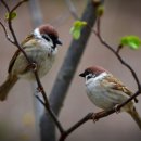 굿모닝보청기 광명센터 이미지