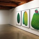 자연의 꿈 이미지