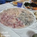 독도활어회센타 | 울산 북구맛집 정자회센터 독도 초장집 방문후기