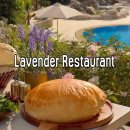 뉴맛나라치킨 | 이집트 뉴카이로 : Lavender Lounge &amp; Restaurant 방문 후기