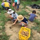 보람지역아동센터 이미지