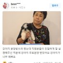 큐티댕냥 하남 본점 강아지 고양이 분양 이미지