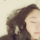 이창훈 동물병원 이미지
