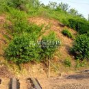 학산리농장 이미지