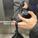 선도식당 | 구리농수산물시장 선도유통 대방어회 포장 추천 후기