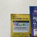 바닷가하얀목화밭